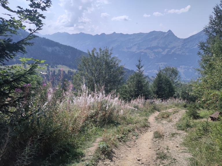 Hike: Aeschiried - Brunni
